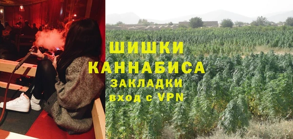 тгк Бронницы