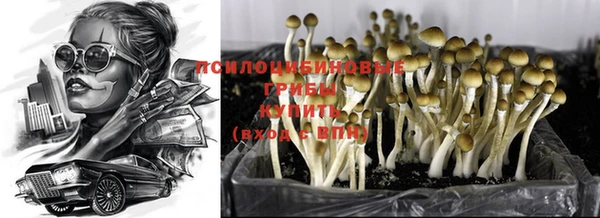 тгк Бронницы