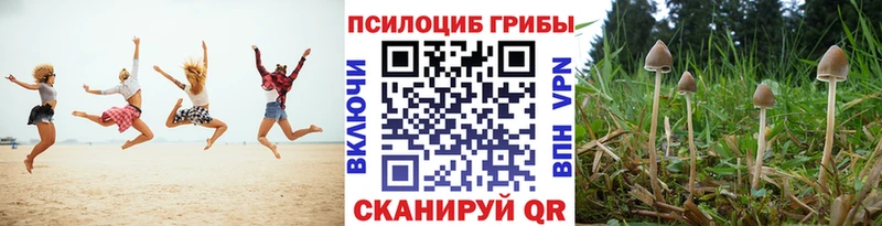 Купить Махачкала Псилоцибиновые грибы прущие грибы